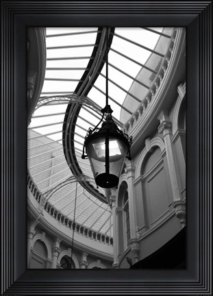 Framed Rotunda Print