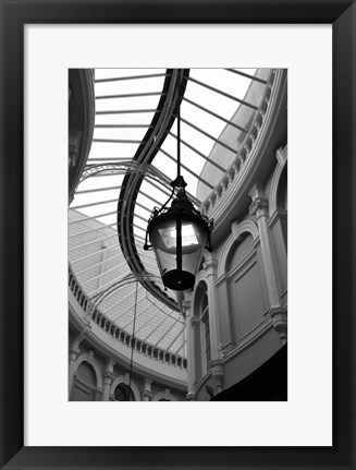 Framed Rotunda Print