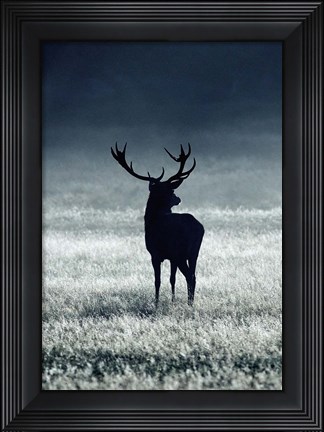 Framed Silhouette Deer Print