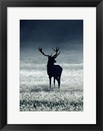 Framed Silhouette Deer Print