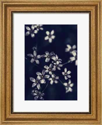 Framed Small Flowers Print
