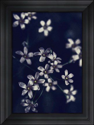Framed Small Flowers Print