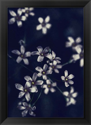 Framed Small Flowers Print