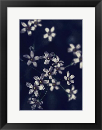 Framed Small Flowers Print