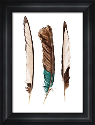 Framed Three Feathers Print