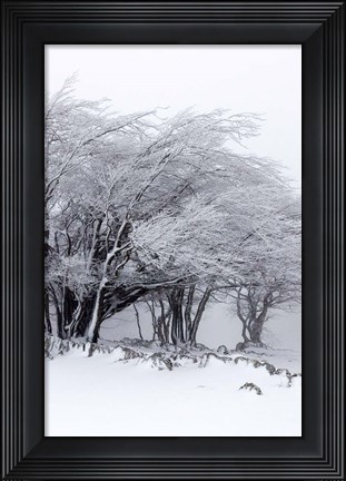 Framed Winter Storm Print
