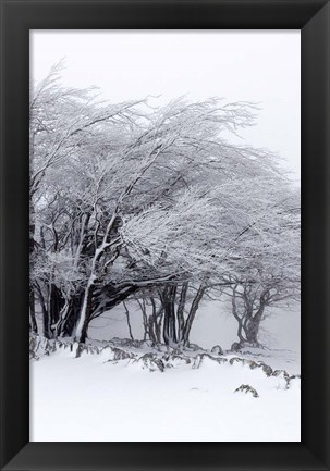 Framed Winter Storm Print