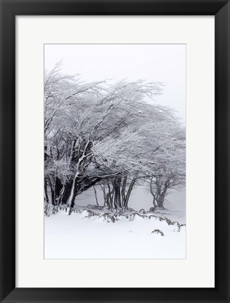 Framed Winter Storm Print