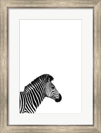 Framed Zebra 2 Print