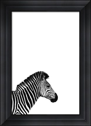 Framed Zebra 2 Print