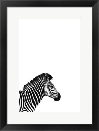 Framed Zebra 2 Print