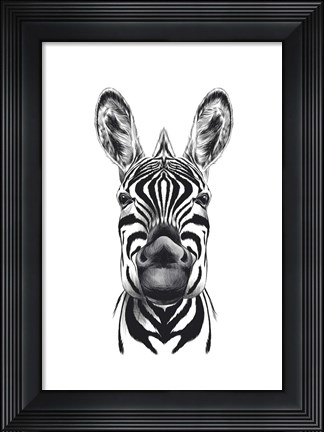 Framed Zebra Illustration Print