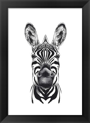 Framed Zebra Illustration Print