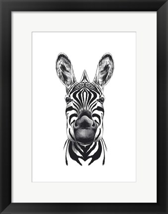 Framed Zebra Illustration Print