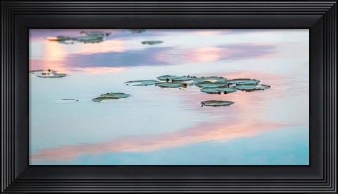 Framed Cloud Reflections Print