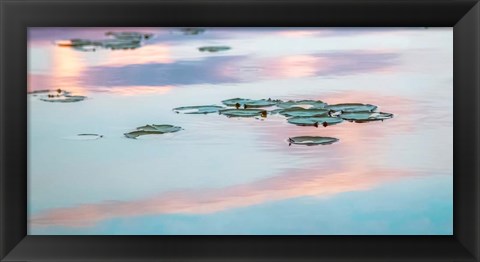 Framed Cloud Reflections Print