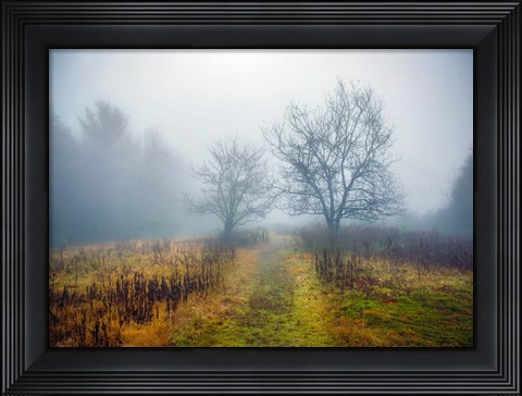 Framed Magic Meadow Apples Print