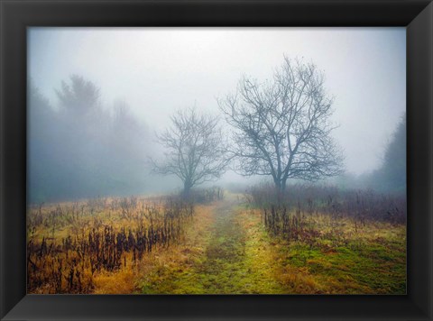 Framed Magic Meadow Apples Print