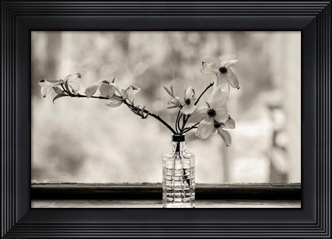 Framed Wild Dogwood Print