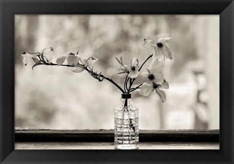 Framed Wild Dogwood Print