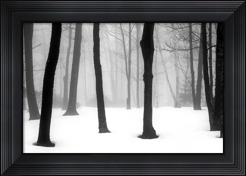 Framed Winter Fog Print