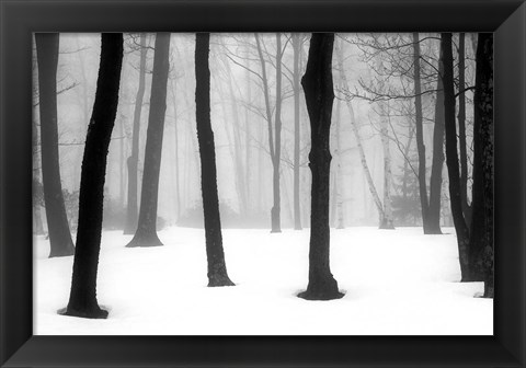 Framed Winter Fog Print