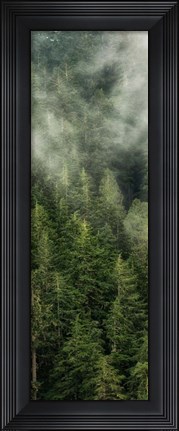Framed Smoky Forest Panel II Print