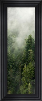 Framed Smoky Forest Panel III Print