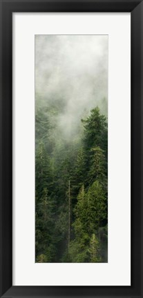 Framed Smoky Forest Panel III Print