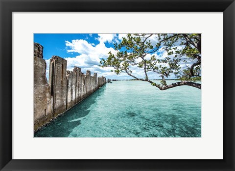 Framed Crystal Clear Paradise Print