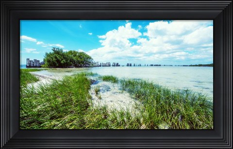 Framed Tropical Coastline Print