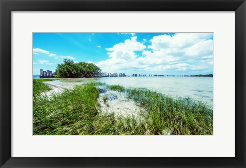 Framed Tropical Coastline Print