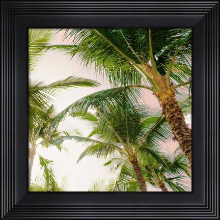 Framed Bright Oahu Palms I Print