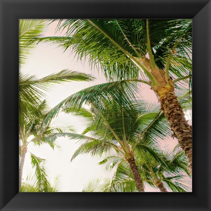 Framed Bright Oahu Palms I Print