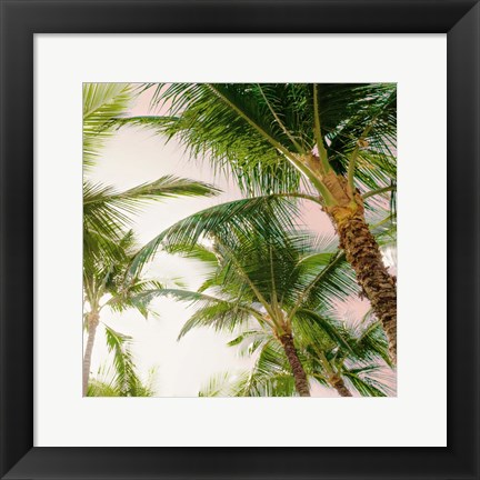 Framed Bright Oahu Palms I Print