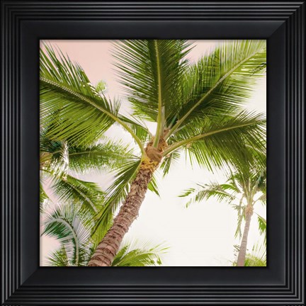 Framed Bright Oahu Palms II Print