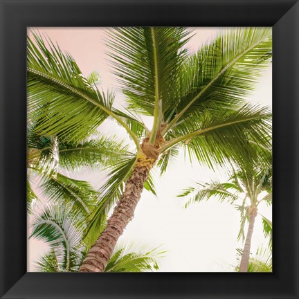 Framed Bright Oahu Palms II Print