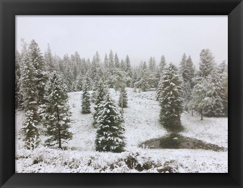 Framed Dusting of Snow Print