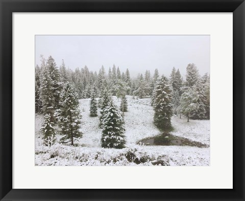 Framed Dusting of Snow Print