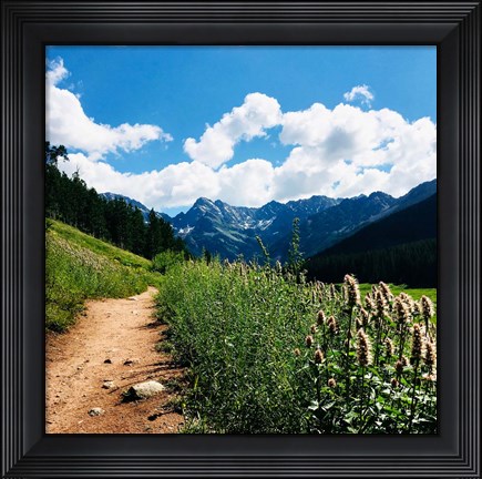Framed Lovely Path Print
