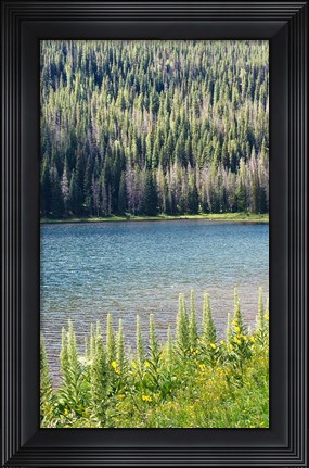 Framed Hidden Lake Print