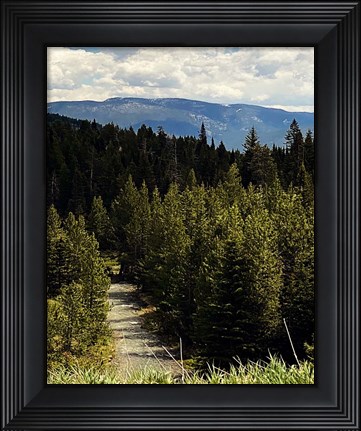 Framed Mountain Stream Print