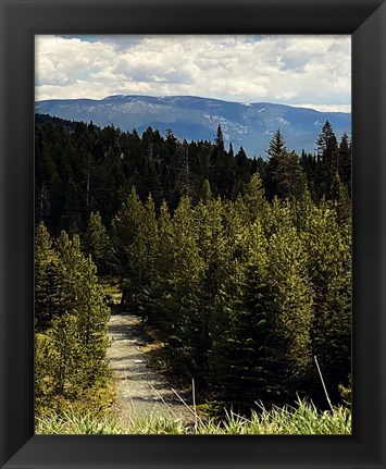 Framed Mountain Stream Print