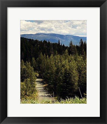 Framed Mountain Stream Print
