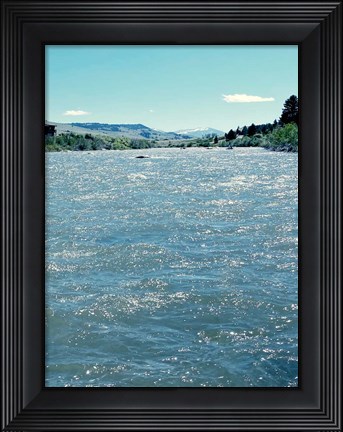 Framed Natures Beauty Print