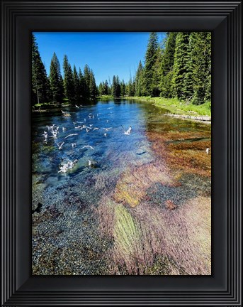 Framed Peaceful Stream Print
