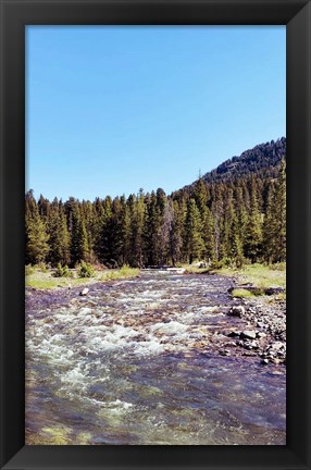 Framed Lovely Stream Print