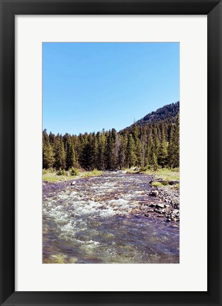 Framed Lovely Stream Print