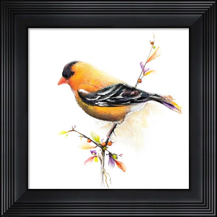 Framed Watercolor Chickadee III Print