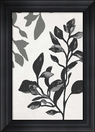 Framed Botanical In Noir I Print